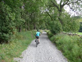 Swale Trail near Reeth - suitable for younger children 