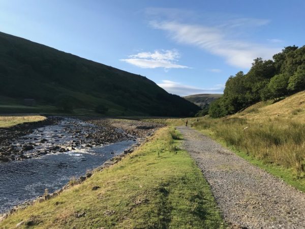 The only flat section of Swale Trail between Keld and Gunnerside - kids need to be fit and competent mountain bikers to get this far on a family ride