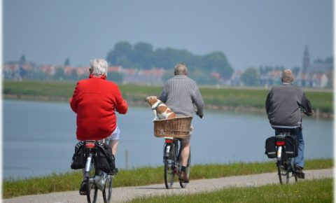 Grandparents cycling on e-bikes