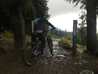 Spooky Wood Descent at Glentress on the Cube Stereo 140 Youth Mountain Bike