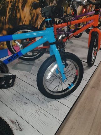 Wild Bike - a cheap kids bike