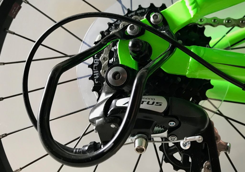 Giant ARX 20 kids bike - rear derailleur guard