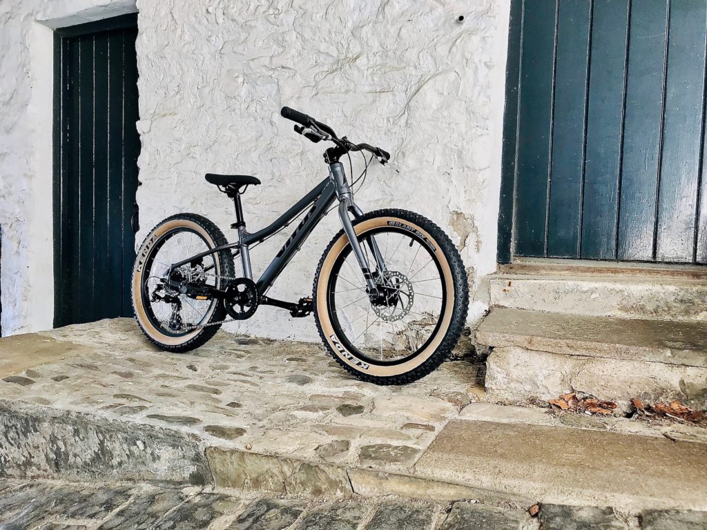 Vitus 20+ kids mountain bike