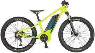 Scott Roxter ERide 24 Junior electric mountain bike