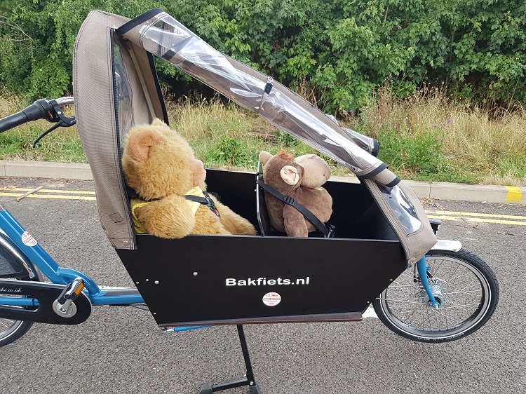 Rain canopy for cargo bike