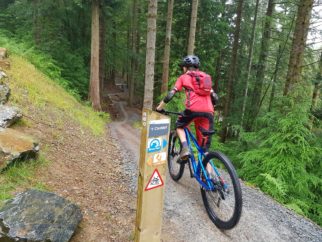 Coed y Brenin Bike Trail Centre North Wales