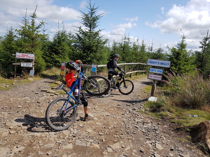 Bike Park Wales - Cycle Sprogs at the start of Terrys Belly