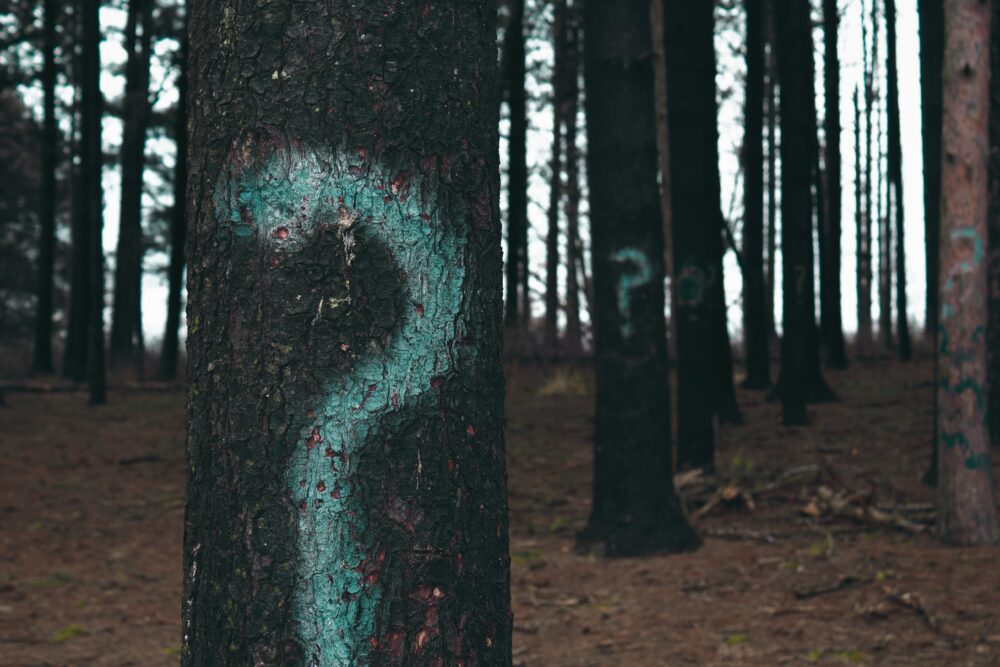 Question Mark on Tree