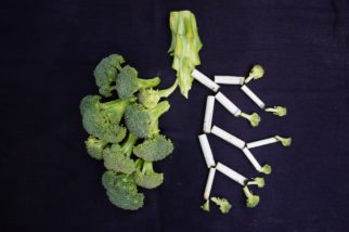 Broccoli Lungs - Photo by Sara Bakhshi on Unsplash