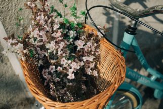 Bike Basket with flowers - Alisa Anton on Unsplash