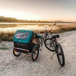 kids bike trailers