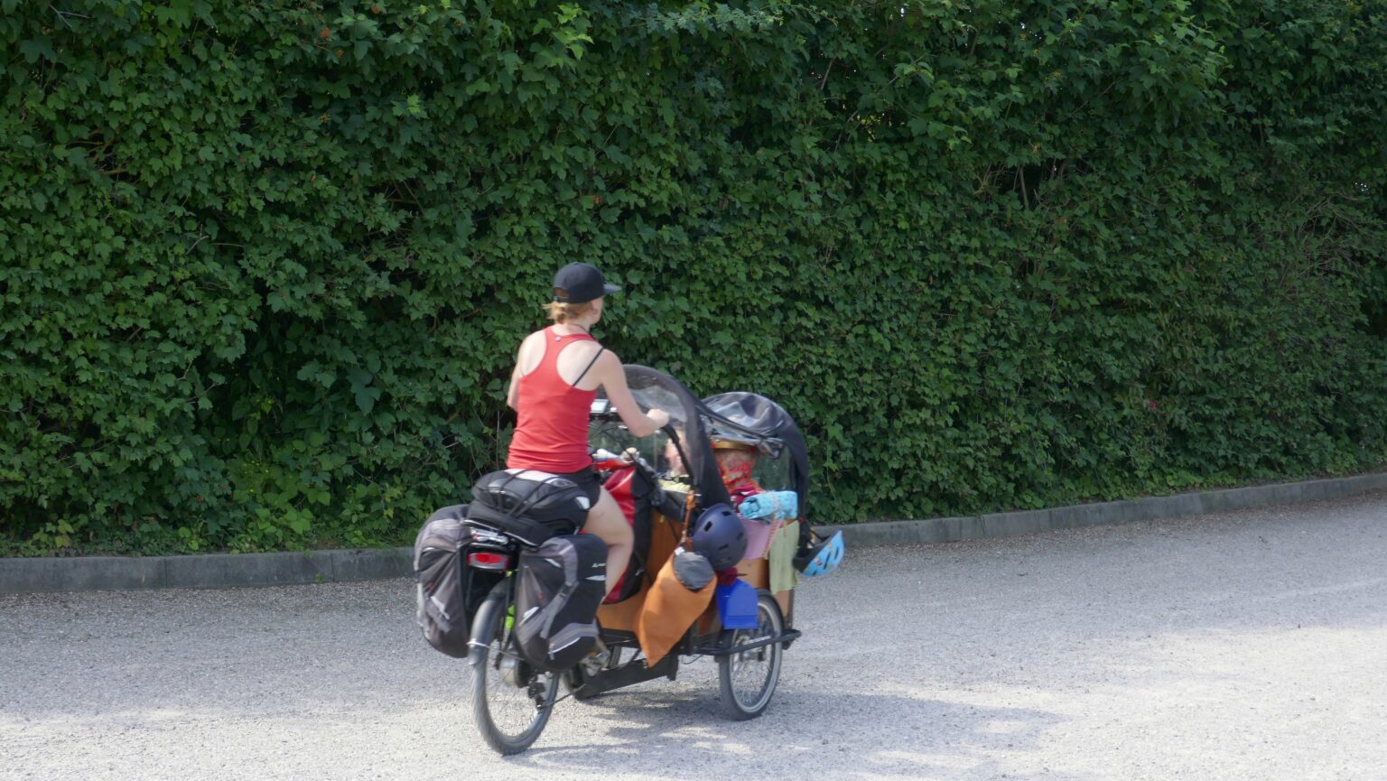 2 vs 3 wheeled cargo bikes which are best for carrying kids?