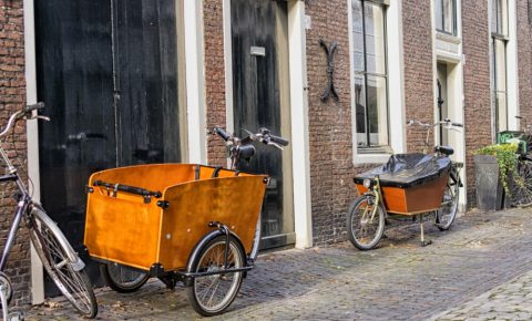 Which is best? A 2 or 3 wheeled cargo bike for carrying kids?