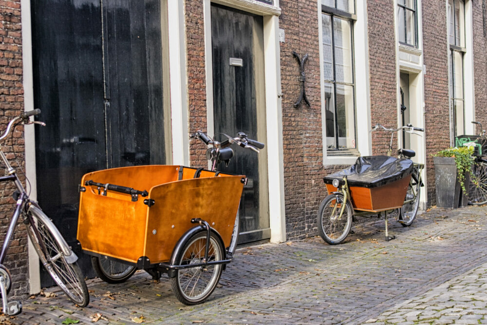 Which is best? A 2 or 3 wheeled cargo bike for carrying kids?