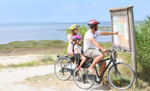 Where to ride your bike - family looking at a map while on a bicycle ride