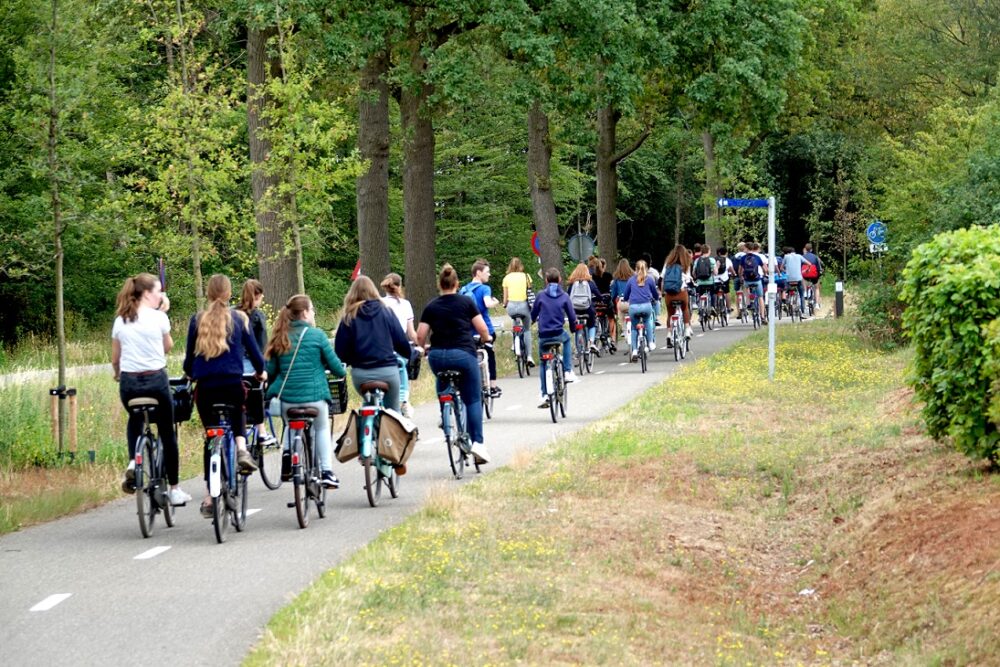 bikes for teenagers and small adults