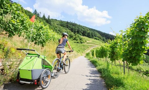 Learn how to start using a kids bike trailer - Cycle Sprog