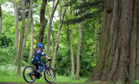 Specialized Jett 20 in use