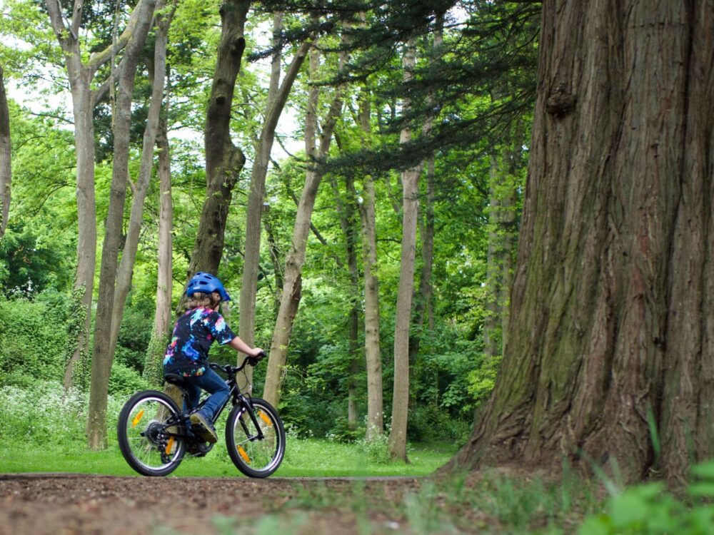 Specialized Jett 20 in use Specialized Jett 20 review