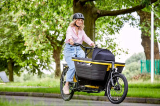 Raleigh Stride E-Cargo Bike