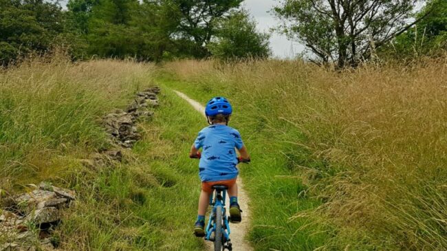 Forme Kinder 20 kids bike forme kinder childs bike