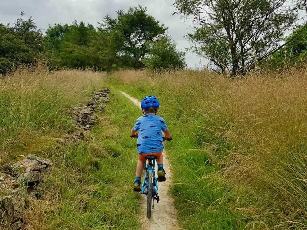 forme kinder childs bike