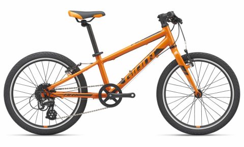 Giant ARX 20 kids bike 2021
