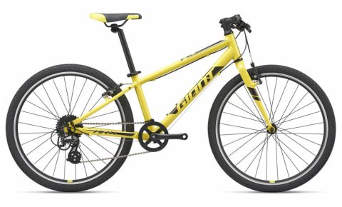 Giant ARX 24 kids bike 2021
