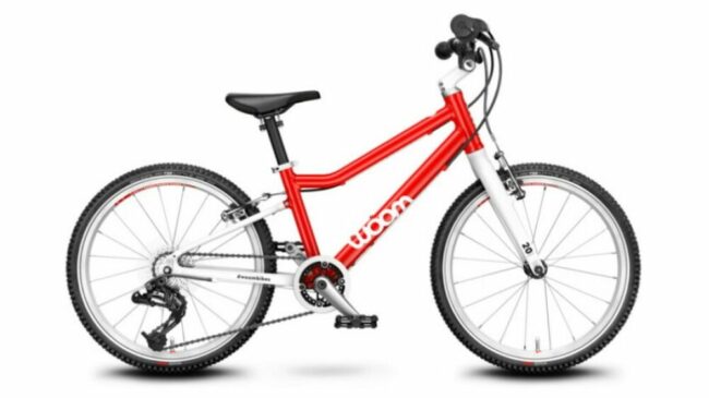 20 inch bike lightweight