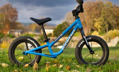 Kidvelo Rookie 12 balance bike in blue in a park with storm clouds behind