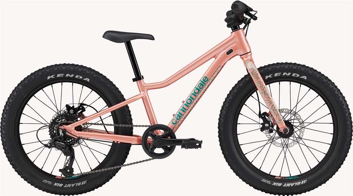 Cannondale Kids Trail Plus 20w 2023 junior mountain bike