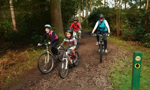 Forest riders pack - photo credit Forestry England/Crown copyright