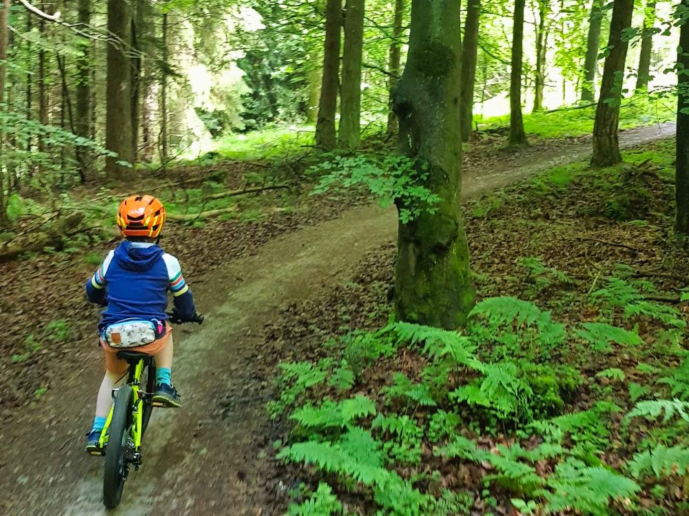 Orbea Kids Mountain Bike Review