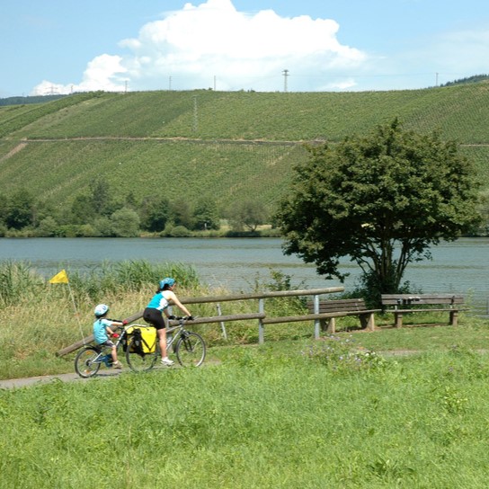 Best tagalong bikes: A woman riding a bike with a child on a tagalong bike behind her, with a tree on the right, a river behind them, and grassy hills in the distance