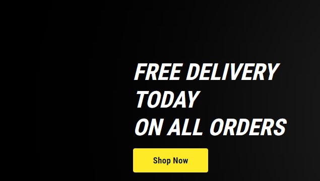 Decatlon free delivery Cyber Monday