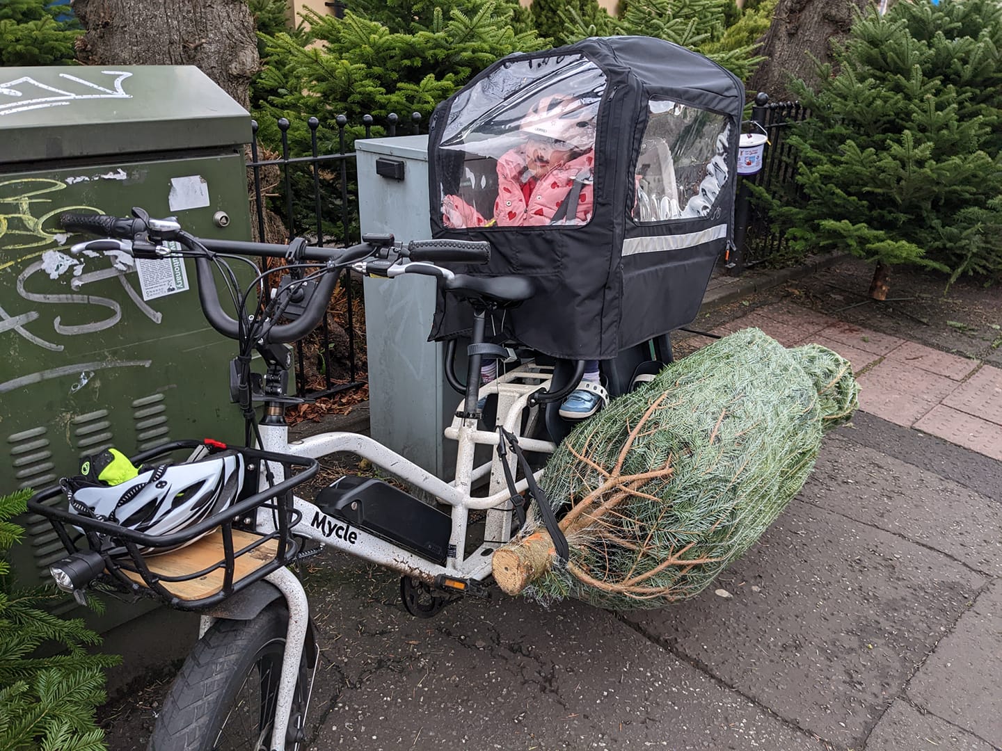 Mycle cargo bike christmas tree and toddler