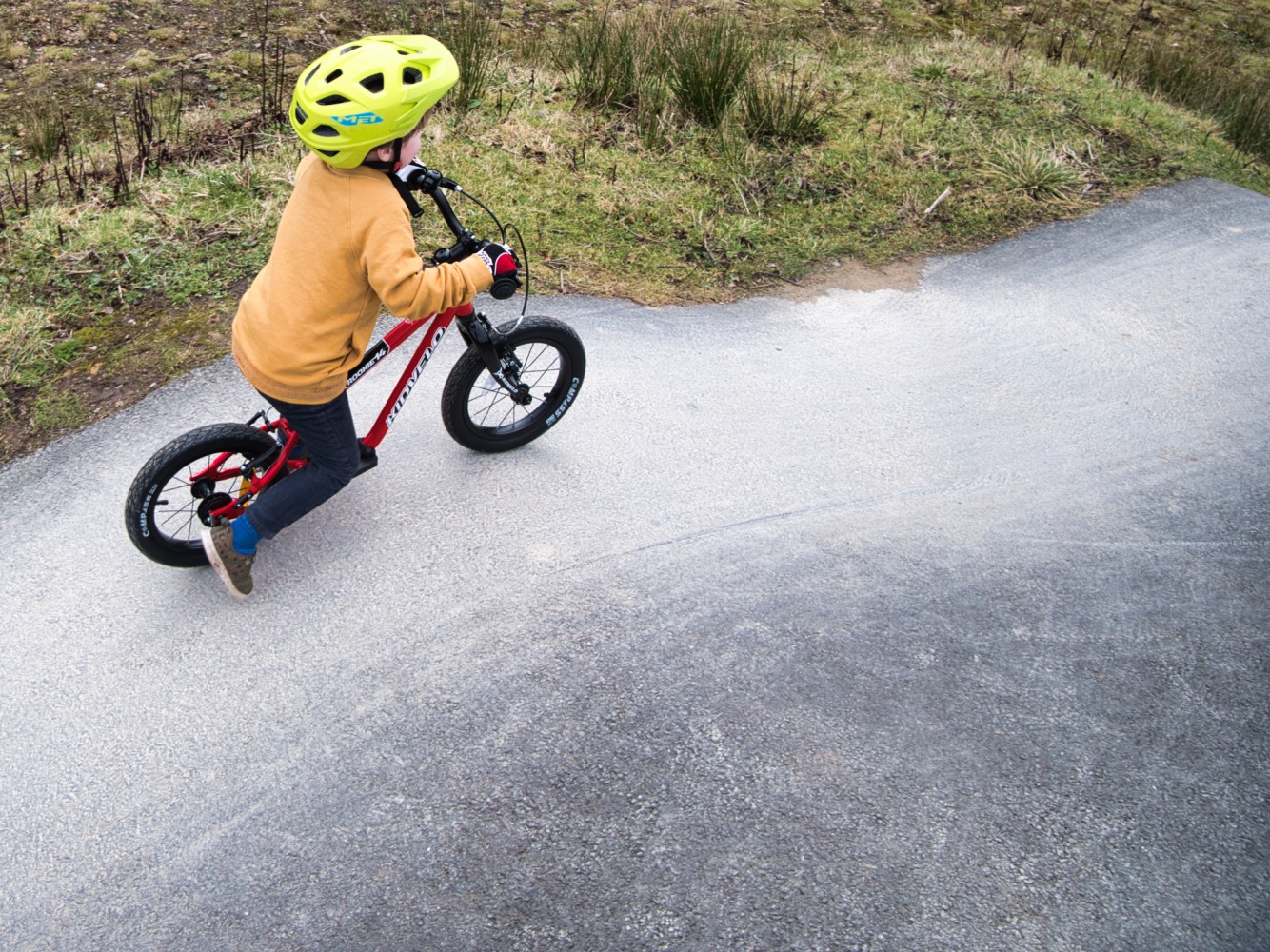 Full review of the kidvelo rookie 14 balance bike for kids Kidvelo rookie 14 balance bike