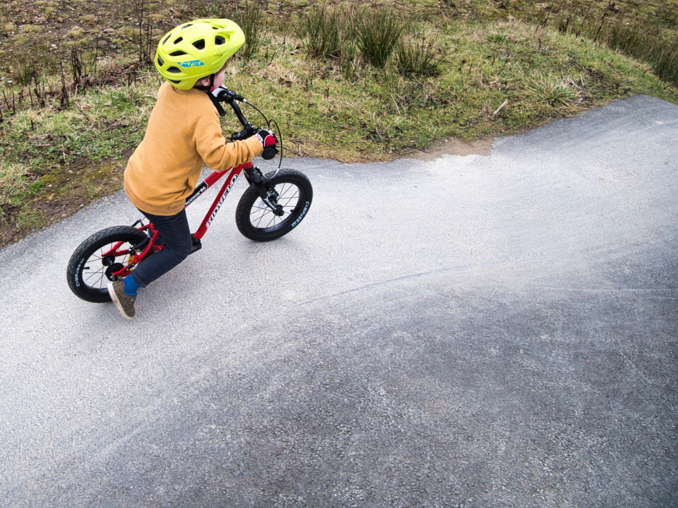 Kidvelo rookie 14 balance bike