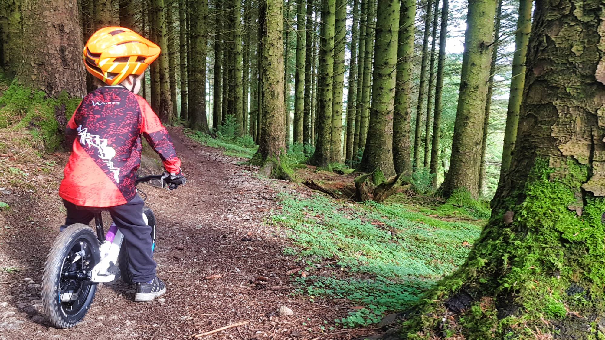 Boy in a red top and orange helmet riding the dirt hero bike on a mountain bike trail