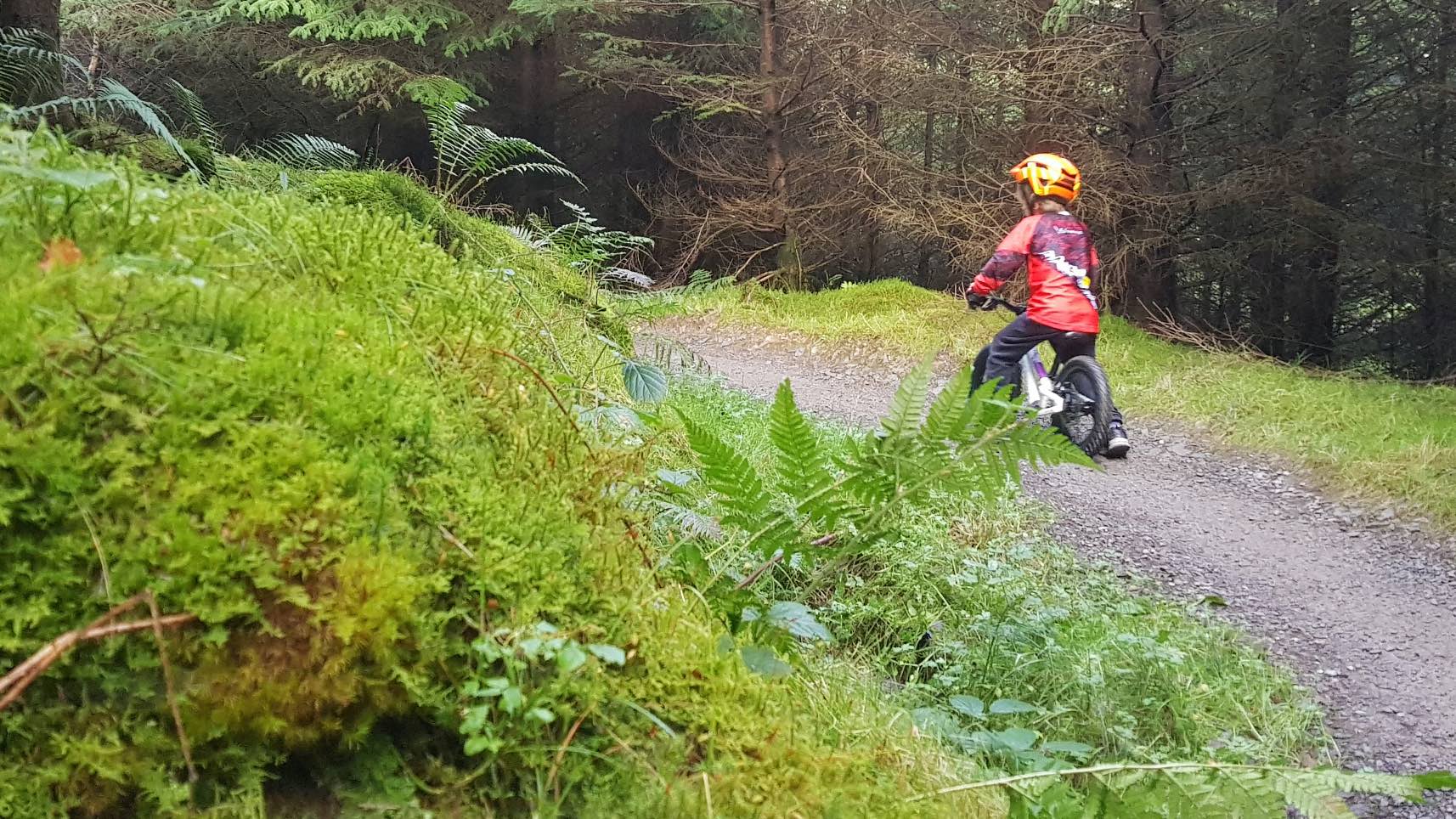 Riding off into the forest Boy in a red top riding off into the forest