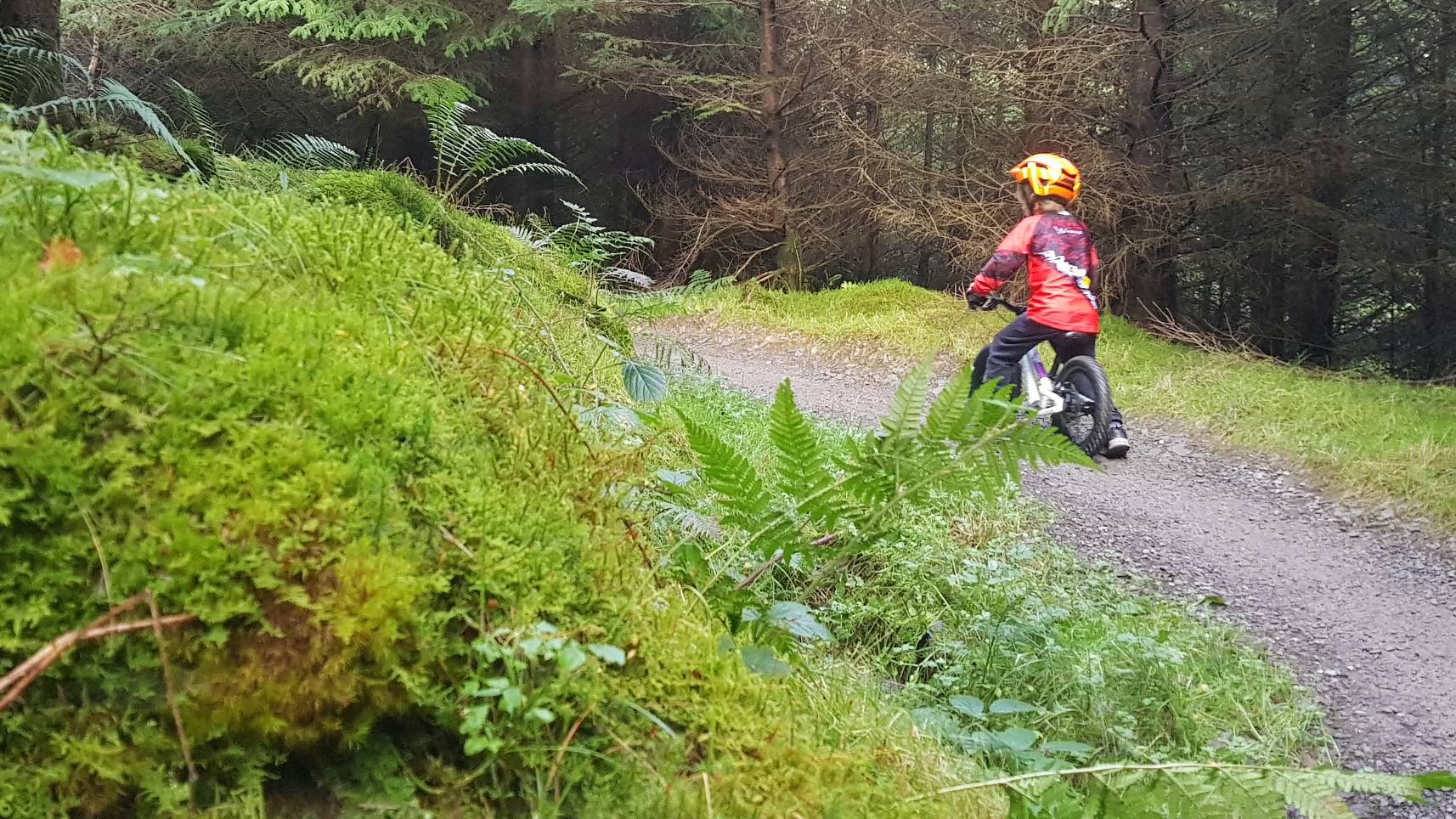 Boy in a red top riding off into the forest