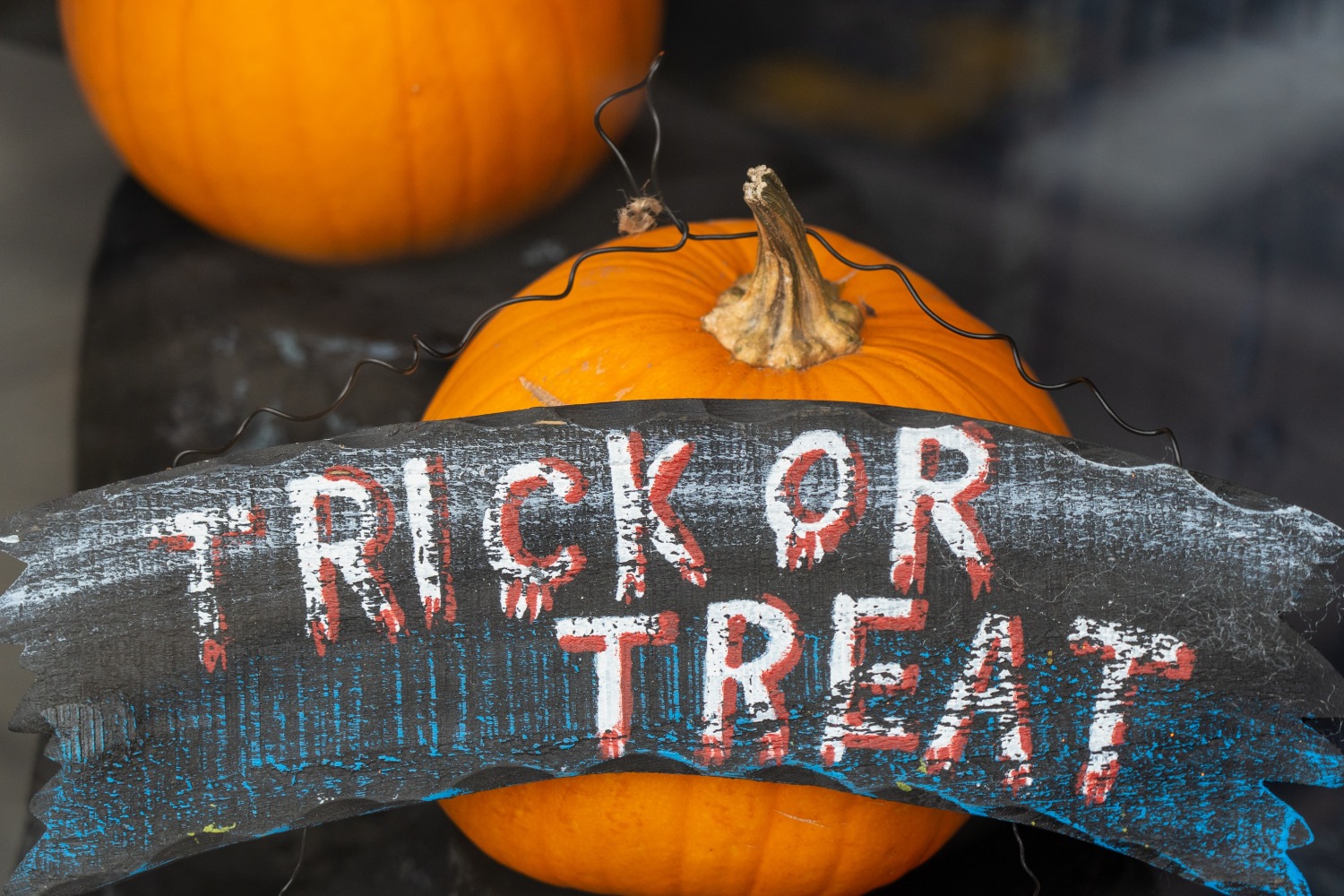 Halloween Costumes for Cycling Kids: A pumpkin behind a sign that says 'trick or treat'