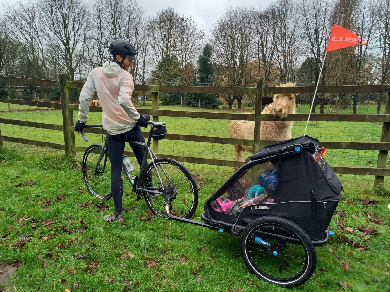 A man riding a road bike with a trailer attached to the back, stopped looking at a horse