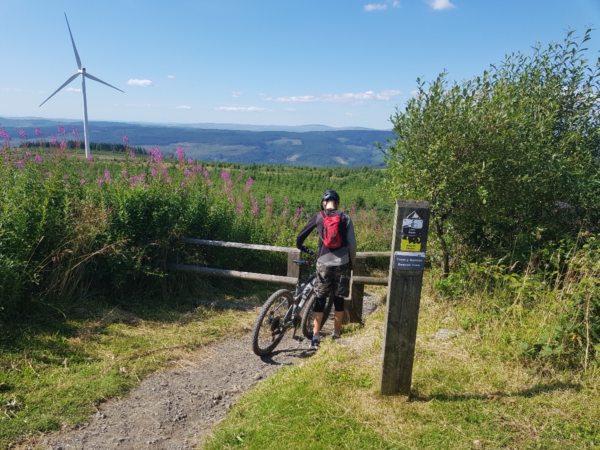 South Wales MTB holiday - Afan forest park