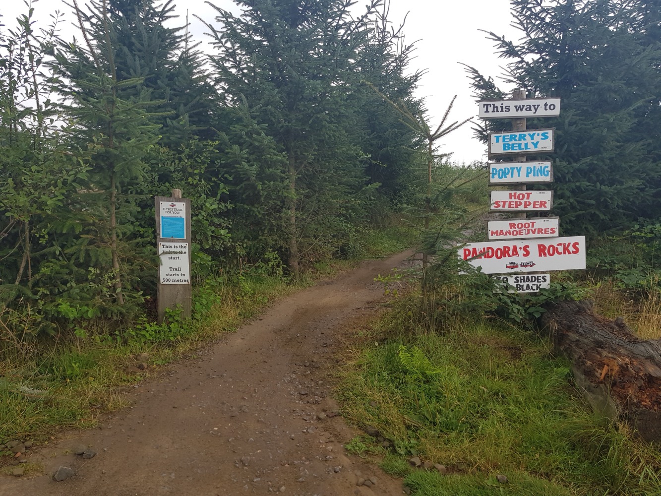 Cycling the bike park Wales - family cycling holiday