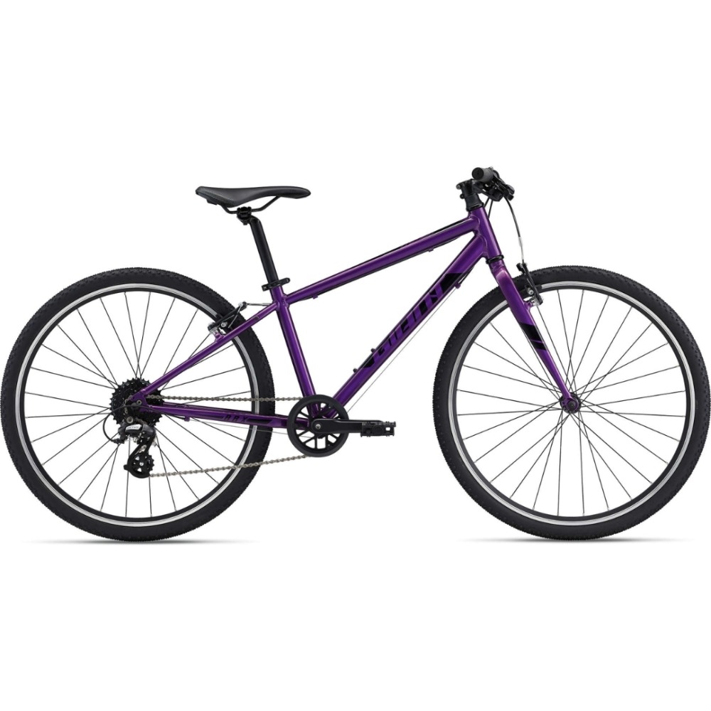 Best 26" hybrid bikes for kids - The Giant ARX 26 bike on a blank background