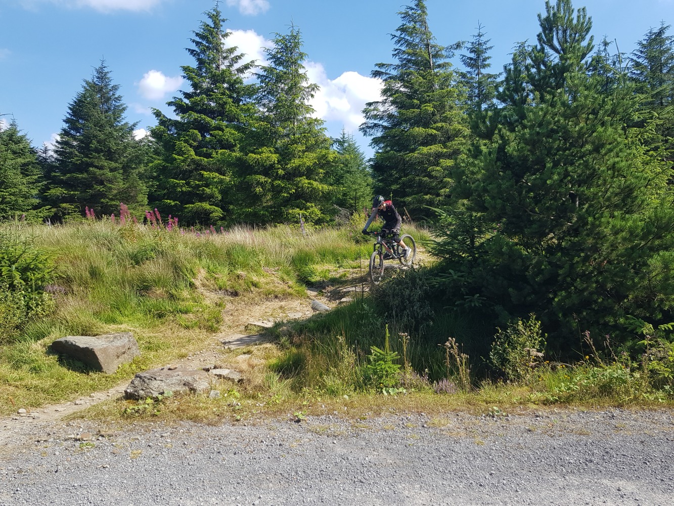 Family cycling holiday in South Wales 