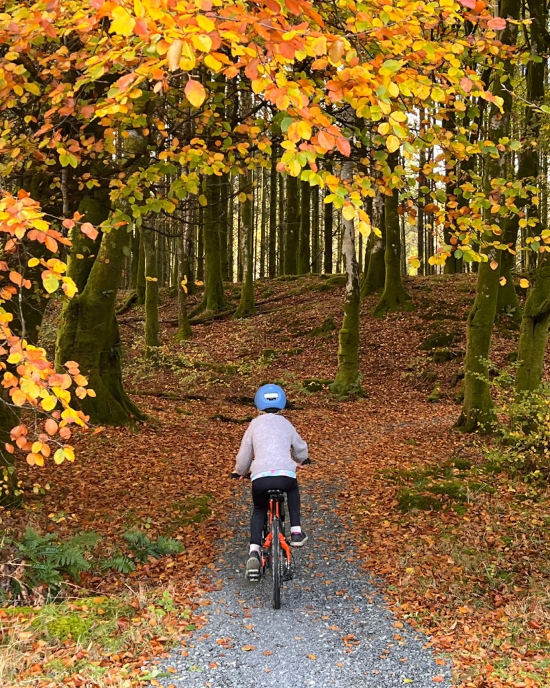 A girl wearing a blue SPARKY helmet- riding her orange mountain bike in an autumnul woods