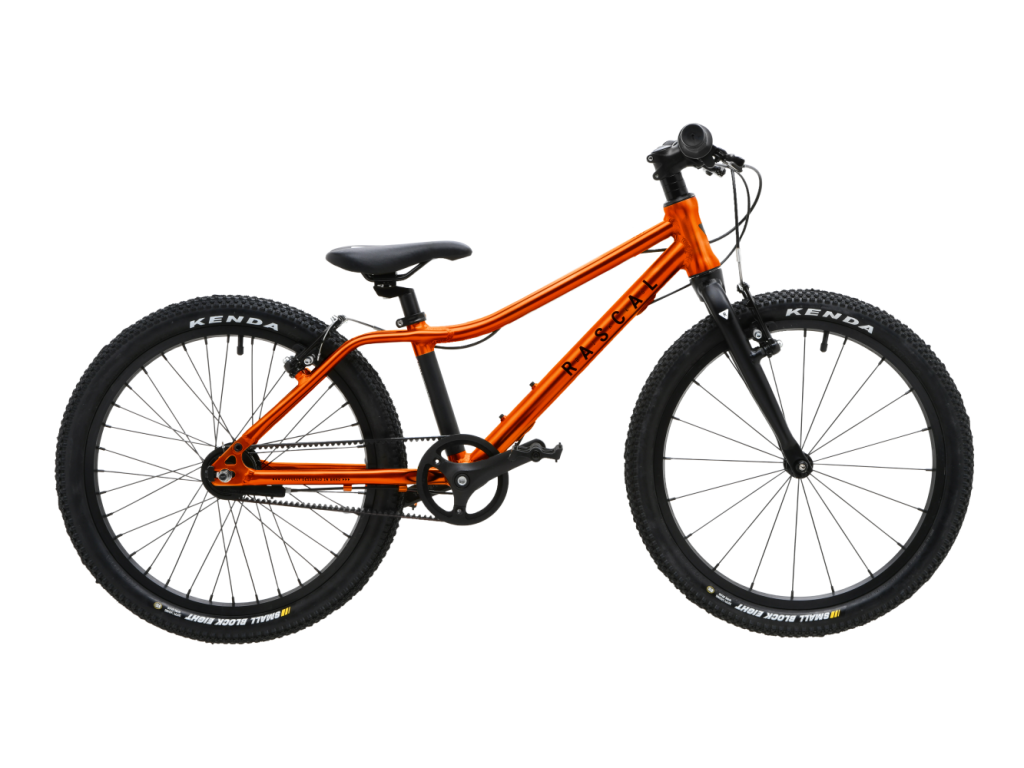 RASCAL 20 kids bike