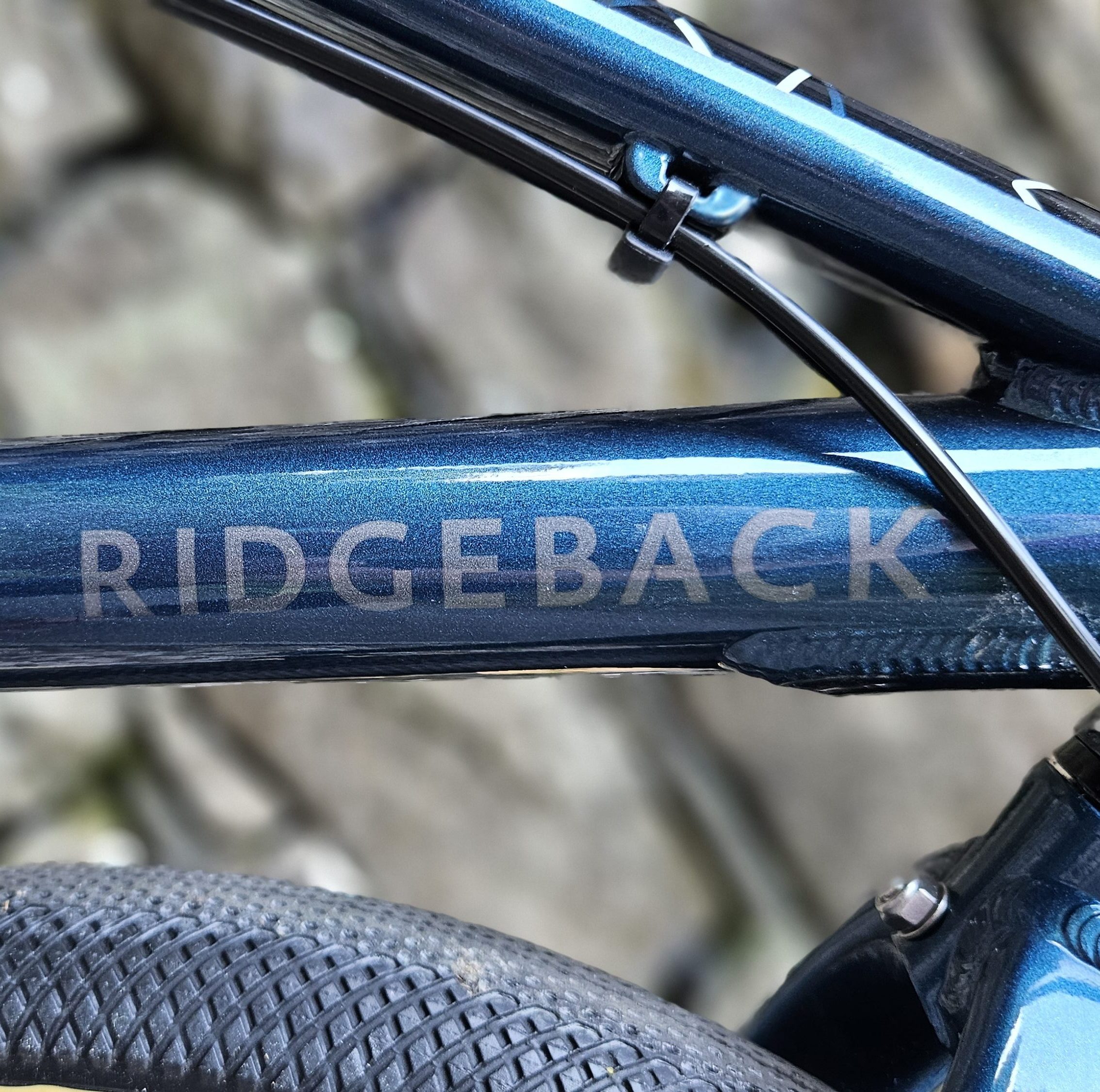 Ridgeback branding on the frame of the dimension 20 kids bike